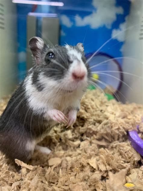 Pet Supplies Plus - West Seattle, WA | Seattle WA
