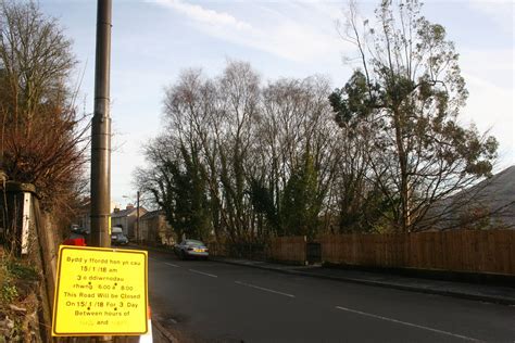 Tree Felling in Ystalyfera, January 2018