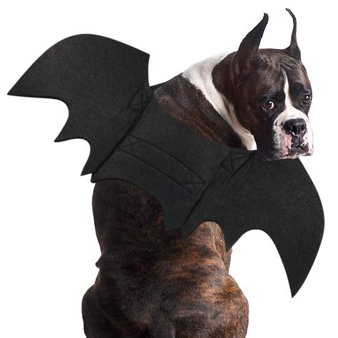 bat costume 4t 16