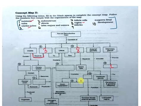 Solved Concept Map Ii Using The Following Terms Fill In The Blank Spaces To Complete The