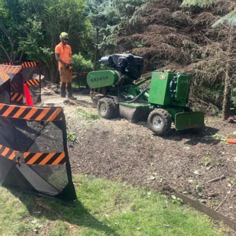 Stump Removal - Happy Lemon Tree Service