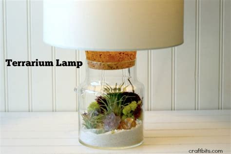 DIY Terrarium Lamp — CraftBits.com