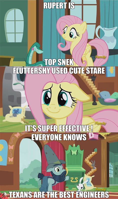 Fluttershy Memes In My Little Brony My Little Pony Friendship Is