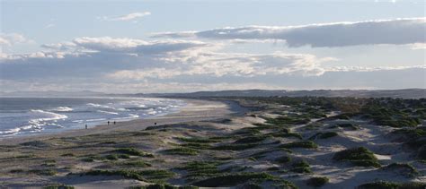 Anna Bay Sand Dunes Free Photo Download | FreeImages