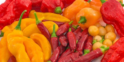Exploring Chili Pepper Varieties From Mild To Super Hot Chili Growing