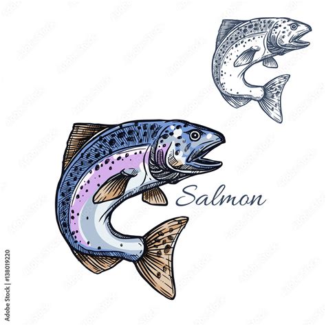 Salmon Fish Vector Isolated Sketch Icon Stock Vector Adobe Stock