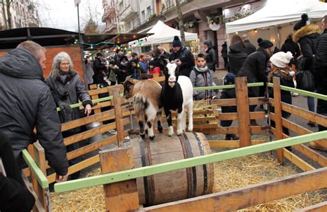 V Nement Les Tracteurs Les Grandes Stars De La Farmer City Depinal