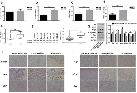 The HMGB1 High Mobility Group Box B 1 Expression In Pleural Effusion