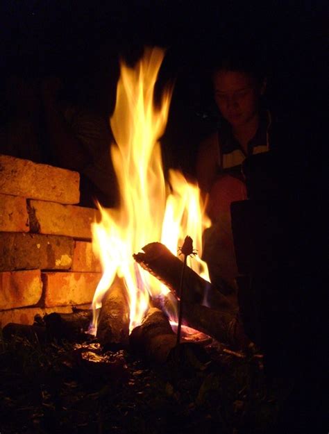 Бесплатные стоковые фотографии и роялти-фри изображения | FreeImages