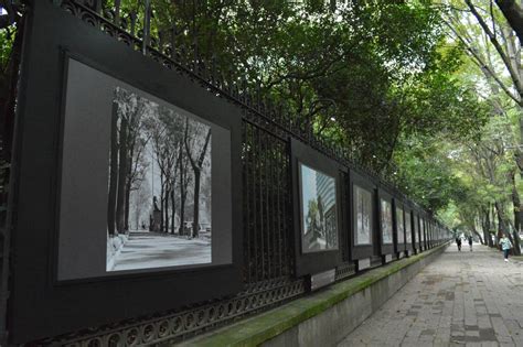 A Os Del Bosque De Chapultepec Pandaancha Mx