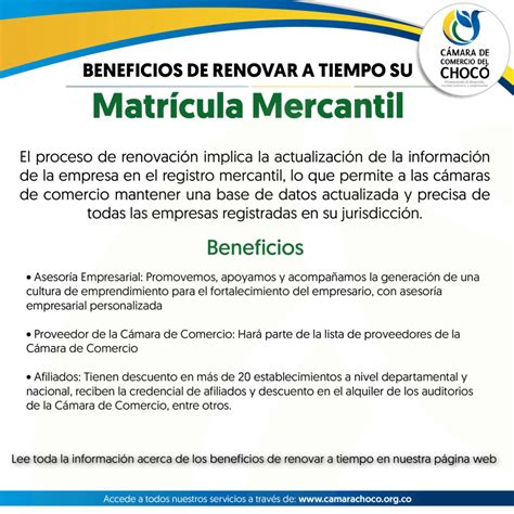 Qu Se Necesita Para Renovar Una Matr Cula Mercantil En Colombia