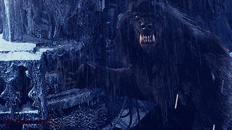 Van Helsing Werewolf Transformation Gif