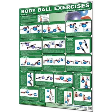 Shop Good Quality And Cheap 24 X 36 Laminated Fitness Poster Wall