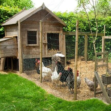 Poulailler Sur Pilotis Avec Pondoir En Bois Chicken Coops