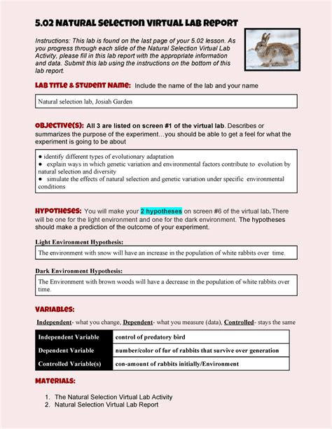 Copy Of Lab Report Template V Natural Selection Virtual Lab