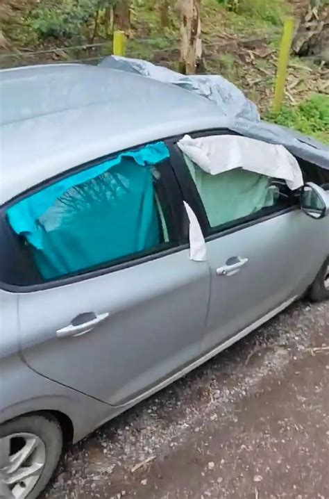 Fake Taxi With Blinds Spotted In Woods Before Man Drives Off With Naked Woman Inside Daily Star