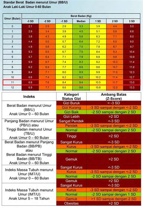 cara mengukur tinggi badan anak dibawah 2 tahun 6