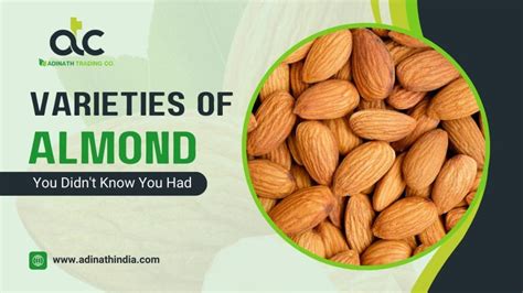 Discover 10 Almond Varieties You Didn T Know You Had