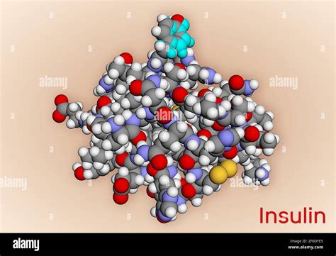 Molécule d insuline humaine C est l hormone peptidique produite par