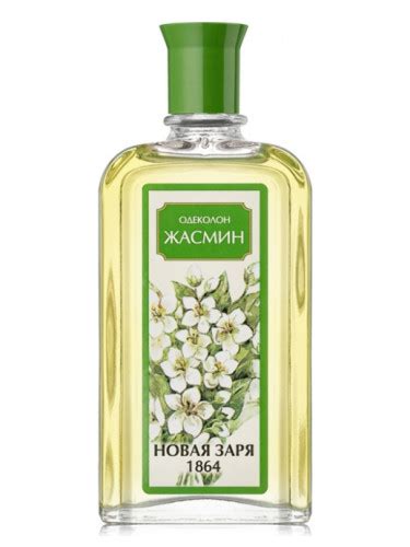 Жасмин (Jasmine) Новая Заря (The New Dawn) perfume - a fragrance for women