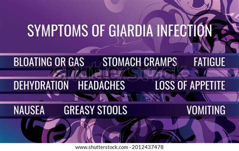 Symptoms Giardia Infection Vector Illustration Medical Stock Vector (Royalty Free) 2012437478 ...