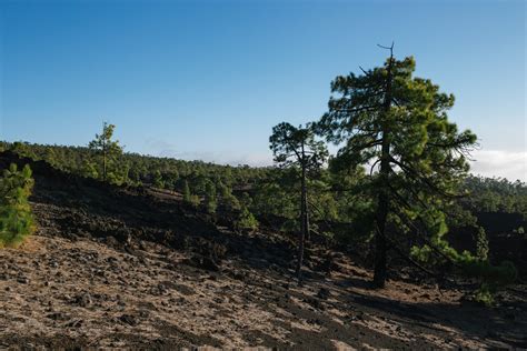 ¿Por qué Guía de Isora es el destino ideal para el turismo de