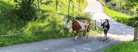Nachbarbauer in Lofer | Gemütliche Ferienwohnung am Bauernhof im ...