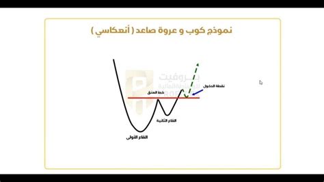 الفيديو الثامن و الاخير من السلسلة التعليمية الأحترافية الثانية نموذج