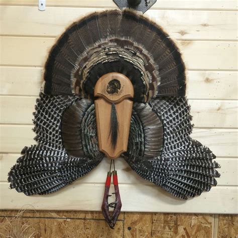 Turkey Fan Wing Beard Mount