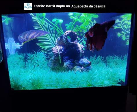 Enfeite Aqu Rio Barril Duplo Toca Do Betta Decora O Plantas Mercadolivre