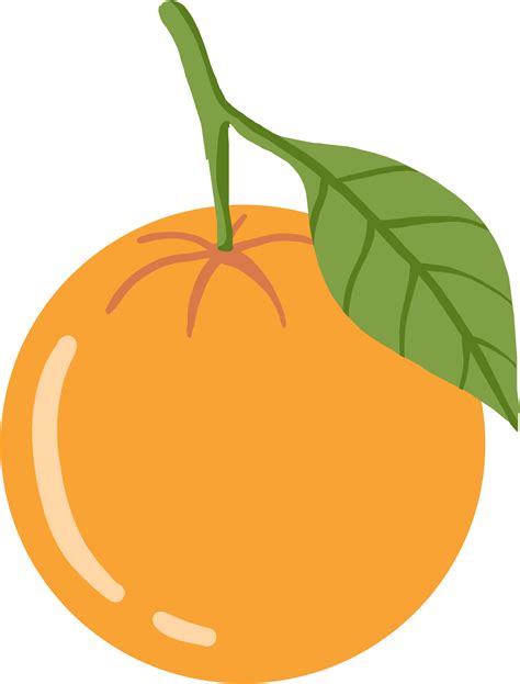 Doodle Freehand Sketch Drawing Of Orange Fruit 12073834 Png
