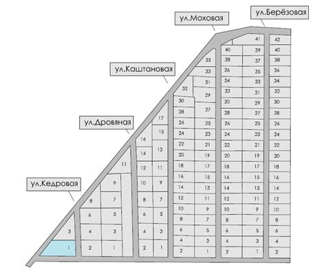 СНТ Проба