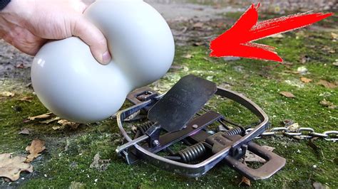 ЧТО ЕСЛИ СУНУТЬ НЕНЬЮТОНОВСКУЮ ЖИДКОСТЬ в МЕДВЕЖИЙ КАПКАН ?! - Я ВСЕ ...