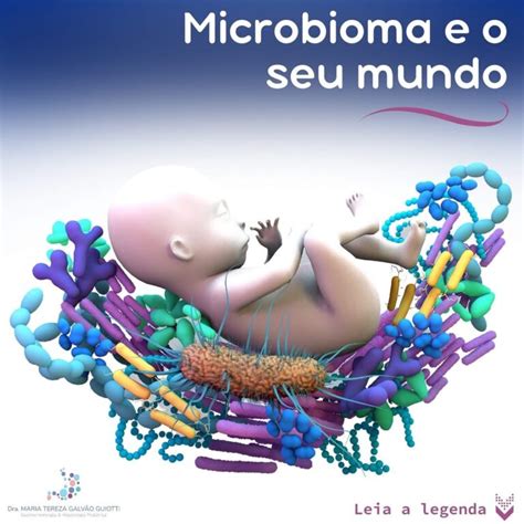 Microbioma E O Seu Mundo Dra Maria Tereza Pediatra