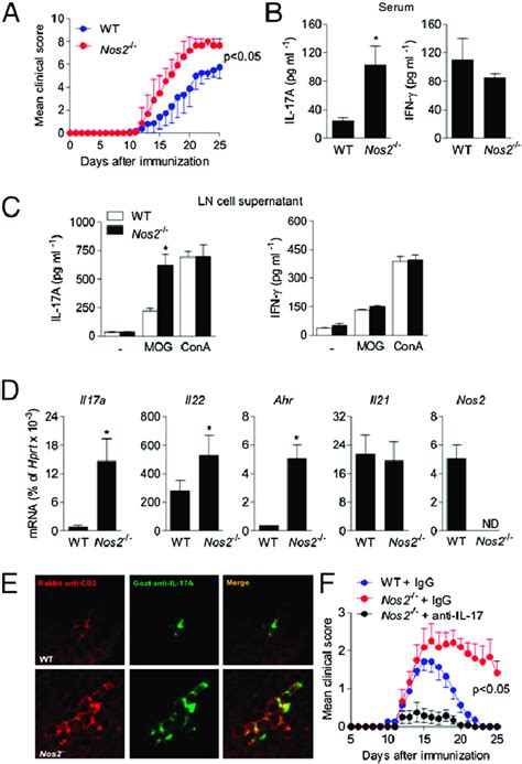 Fig S Nos Mice Developed Exacerbated Eae Elevated Numbers Of