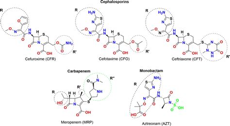 Chemical structures of the studied β lactam antibiotics ChemDraw