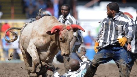 Petition · Stop the Angola Prison Rodeo! - Canada · Change.org