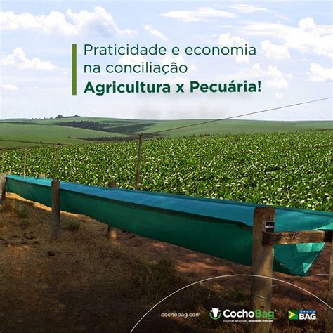 O Que Faz Um Pecuarista - 7