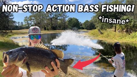 Non Stop Action Bass Fishing Insane Bass Manager The Best Bass