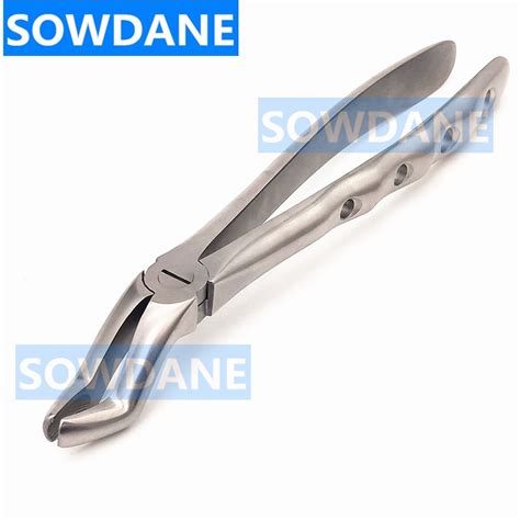 Stainless Steel Dental Tooth Extraction Forceps Adult Teeth Extracting