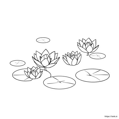 Outline Lily Pad Coloring Page