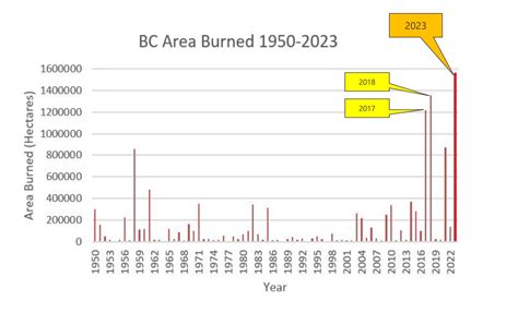 BC wildfires burn 1.5M hectares in 2023 | CityNews Vancouver