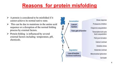 Protein Misfolding And Diseases Associated With Them Ppt