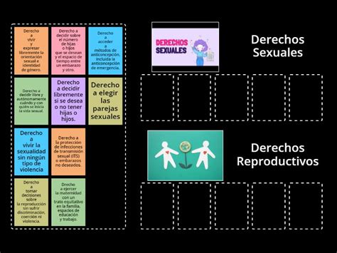 Derechos Sexuales Y Reproductivos Ordenar Por Grupo