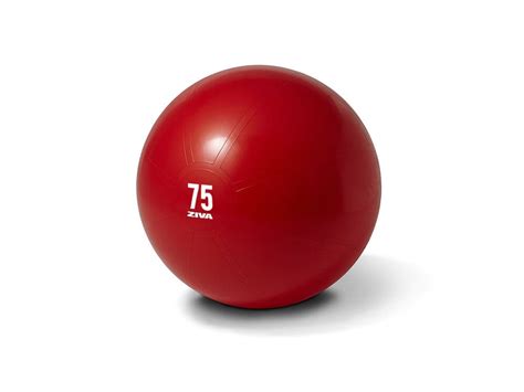 Special Ziva Commercial Grade Anti Burst Core Fit Ball Musclemania