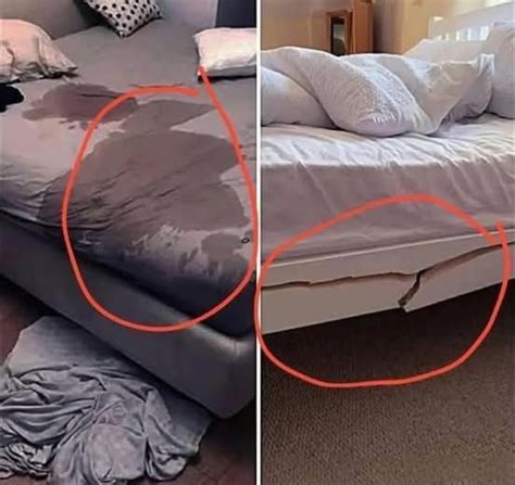 Los Senos Grandes De Una Mujer Indican Que Su Vagina Amazing