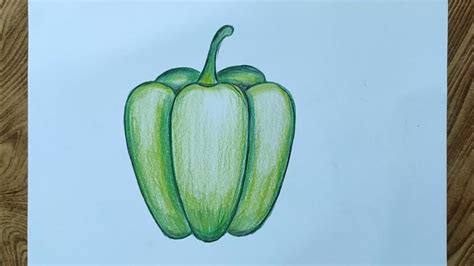 How To Draw Capsicum Easy Steps Capsicum Drawing Easily Youtube