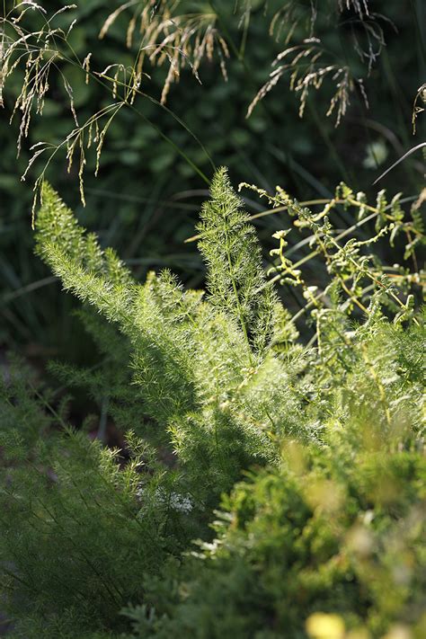 16-17 июля. Что еще?: chadeyka — LiveJournal