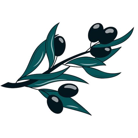 Premium Vector Olive Branch Illustration