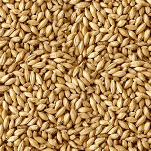 Солод Distilling Malt ~ 4 EBC Castle Malting 1 кг от производителя в ...